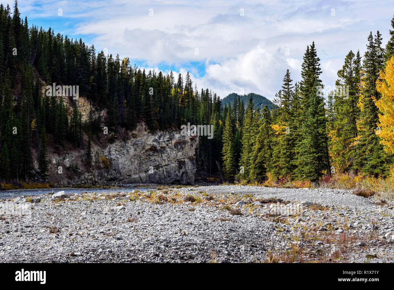 Herbst Farben auf der Spur in den Ausläufern von Alberta Stockfoto