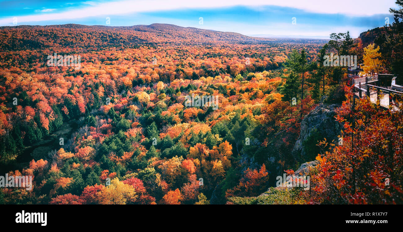 Spektakuläre Herbst Farbe. Herbst Tal Landschaft im Norden von Michigan. Natur saisonale Hintergrund mit kopieren. Stockfoto