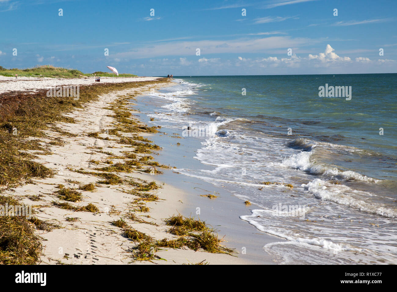 Strand in Bill Baggs Cape Florida State Park Stockfoto