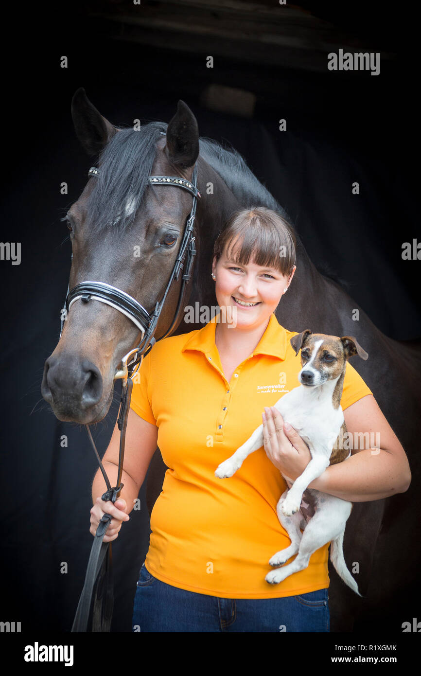 Deutsch Sport Pferd. Portrait von Bay Stute mit Inhaber und Jack Russell Terrier. Deutschland Stockfoto
