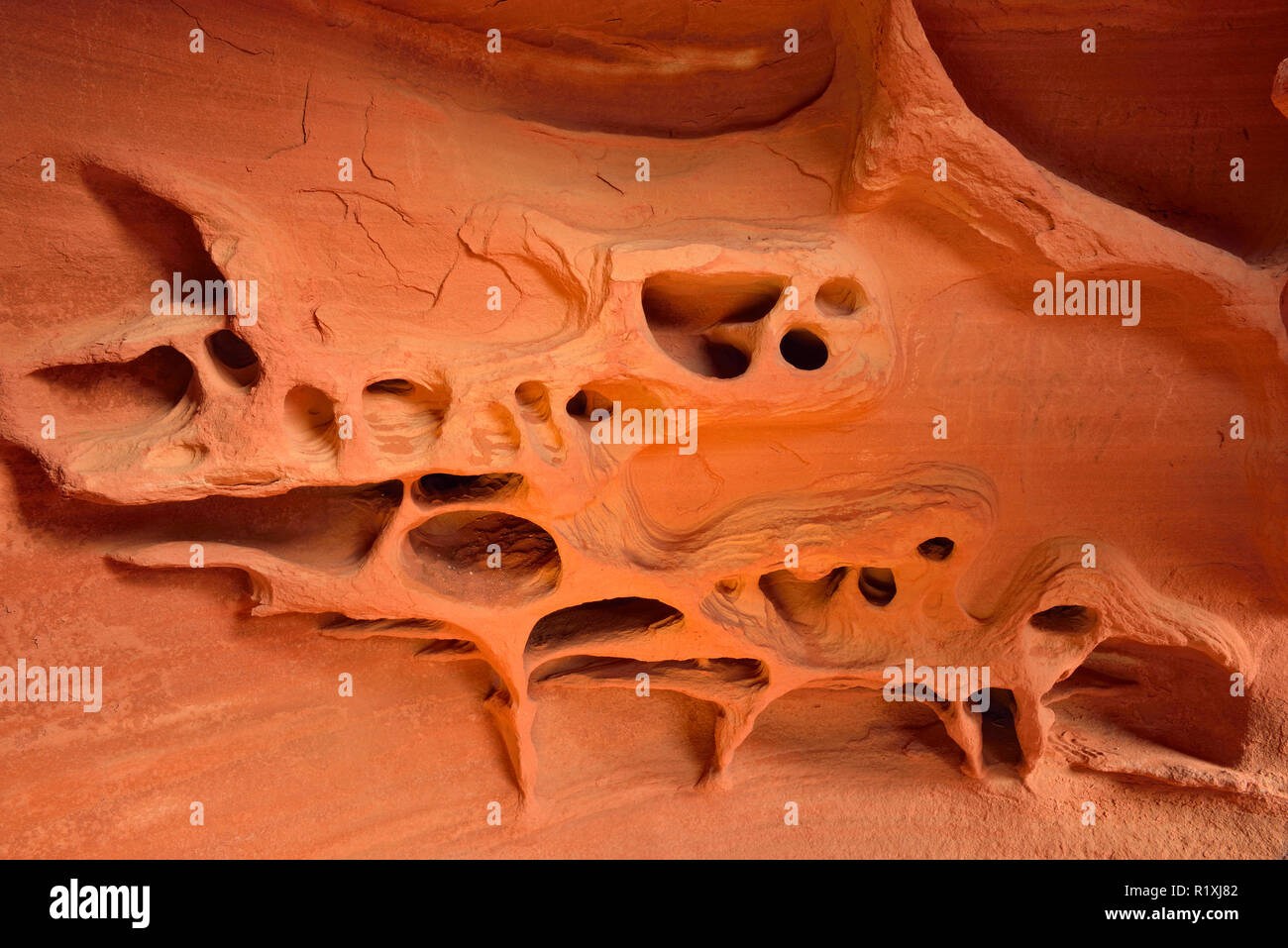 Windstone Bogen - erodiert Sandsteinwände, Valley of Fire State Park, Nevada, USA Stockfoto