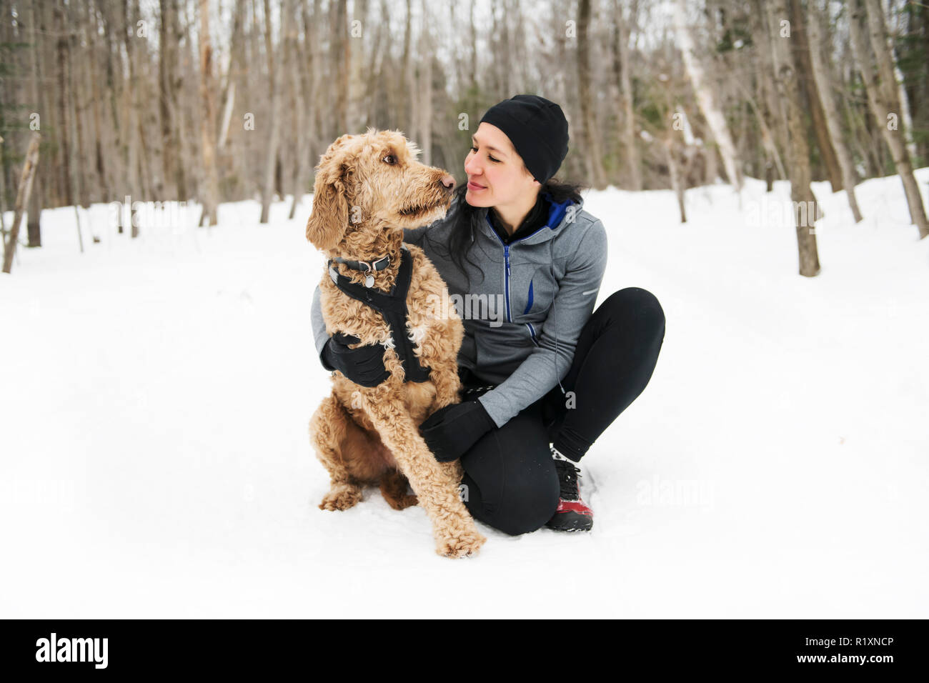 Eine Frau mit goldendoodle Wintersaison Stockfoto