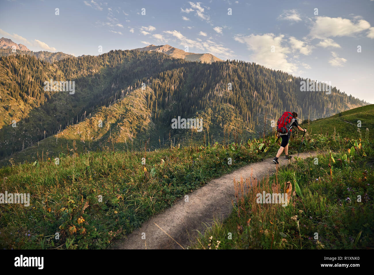 Mann mit Dreadlocks und roten Rucksack in der Wanderung in die Berge bei Sonnenuntergang Himmel Hintergrund Stockfoto