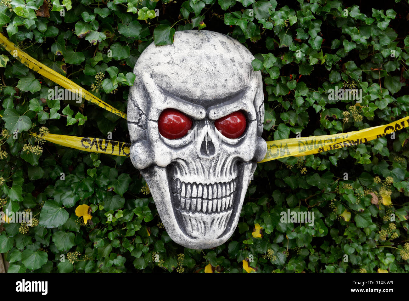 Erschreckend Halloween grinsenden totenkopf dekoration in einem Garten Stockfoto