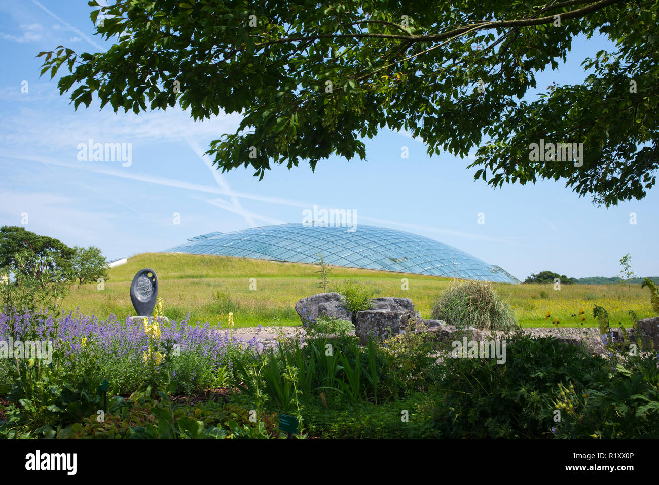 Dome Glas dach der Großen Gewächshaus des Nationalen Botanischen Garten von Wales und 'Osmunda "lebendes Fossil Skulptur von Glenn Morris Stockfoto