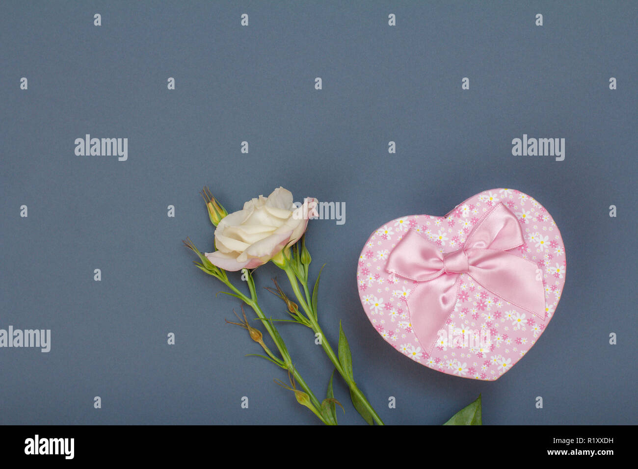 Schöne rosa Blume mit Blättern und Geschenkdose in Herzform auf grauem Hintergrund. Ansicht von oben mit der Kopie. Feier Tag Konzept. Stockfoto