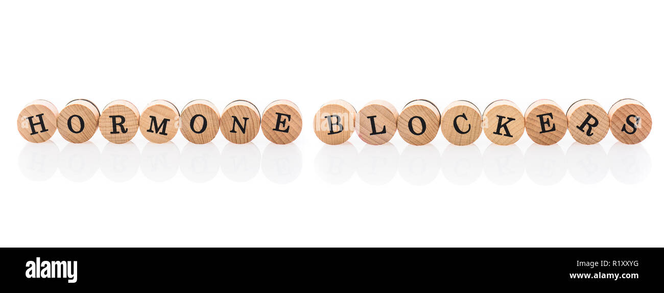 Wort Hormon Blocker aus kreisrunden Holz Fliesen mit Buchstaben Kinder Spielzeug. Konzept der medizinischen Behandlung in Kinderspielzeug Buchstaben geschrieben. Stockfoto