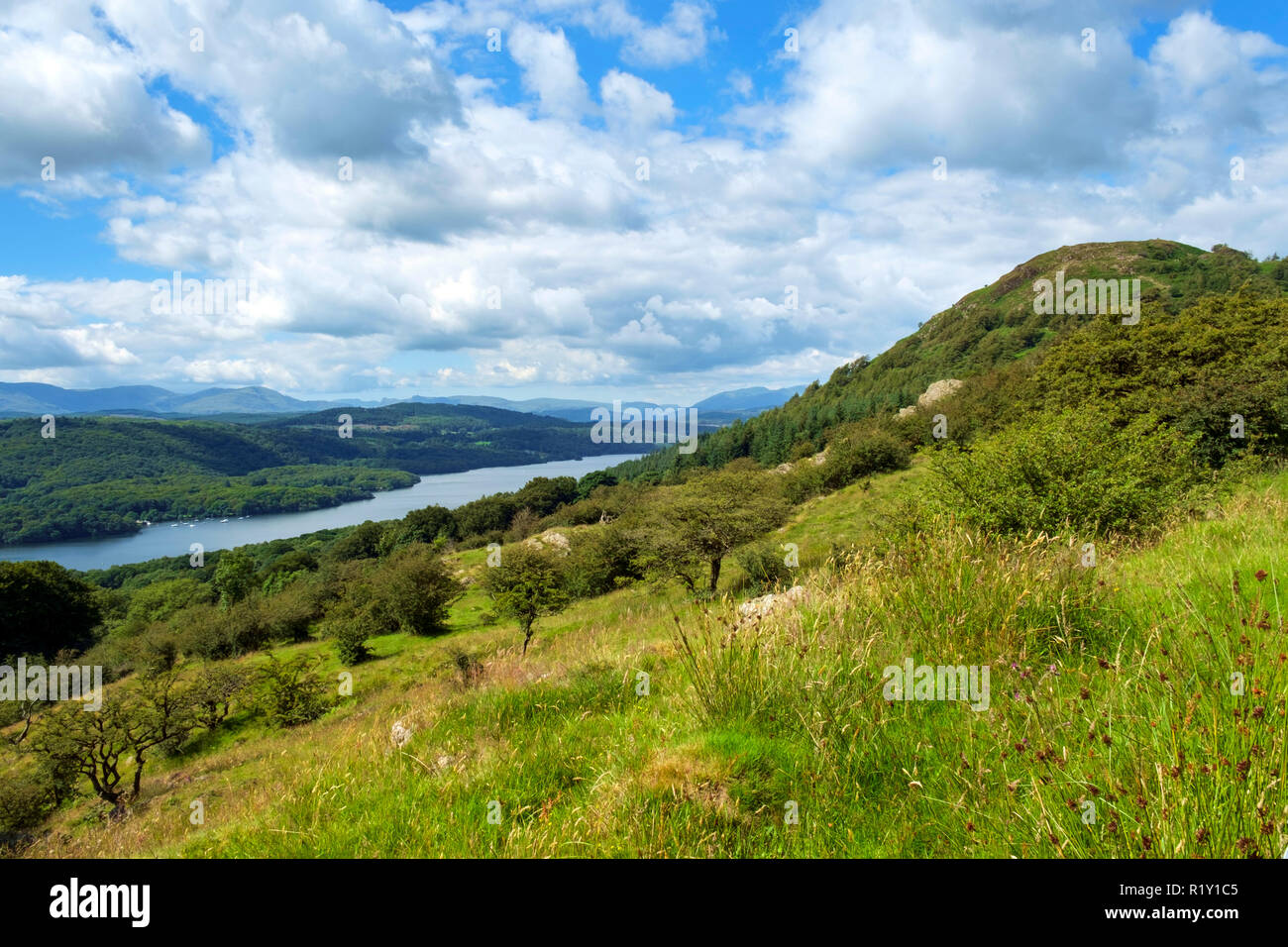 Der Blick über den südlichen Teil des Lake Windermere aus dem Weg zu Gummers wie an einem schönen Sommermorgen. Wie Gummers, rechts im Bild, ist ein bekannter Aussichtspunkt im Lake District, Cumbria, UK. Stockfoto