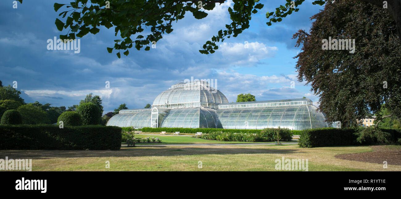 Die ikonischen gemäßigt Haus mit über 10.000 Pflanzen in der Welt größte skulpturale viktorianischen Gewächshaus an der Königlichen Botanischen Gärten in Kew, Engla Stockfoto