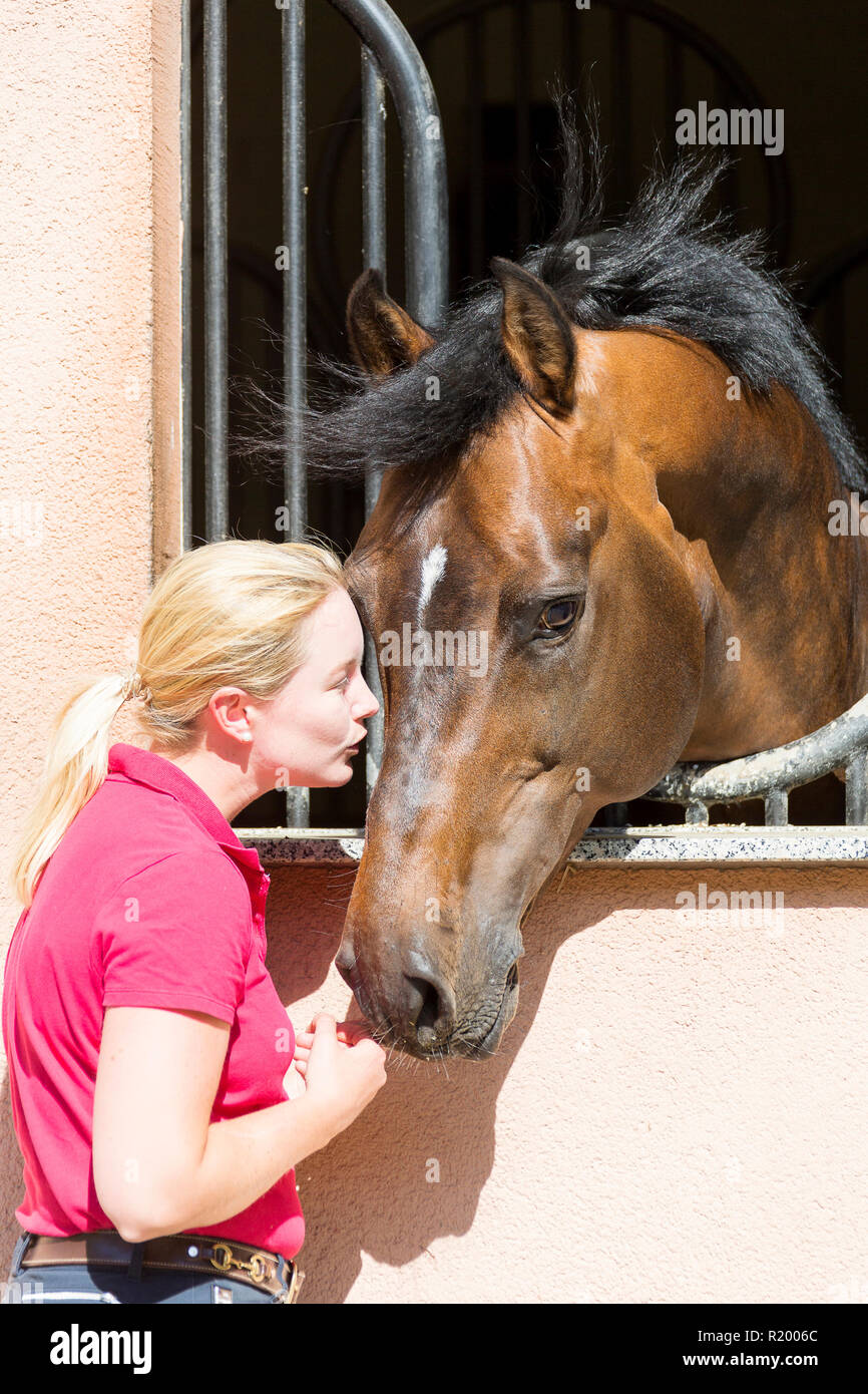 Holsteiner Pferd. Frau schmusen mit Bay Hengst in einer Box, Deutschland Stockfoto