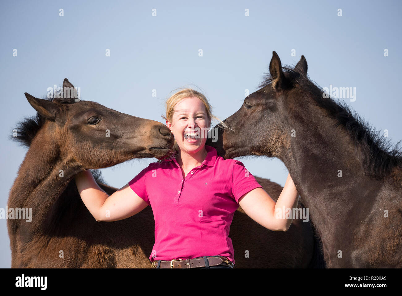 Warmblut. Lachende Frau mit verspielten Fohlen auf der Weide. Deutschland Stockfoto