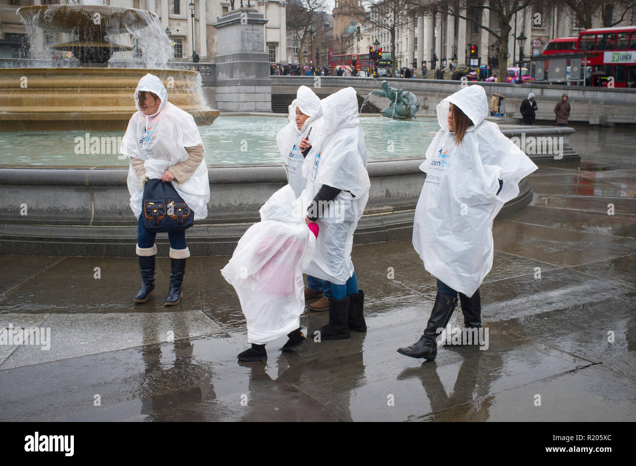 Touristen, die sich in der regen tragen transparent wasserdicht Parkas, Trafalgar Square, London Stockfoto