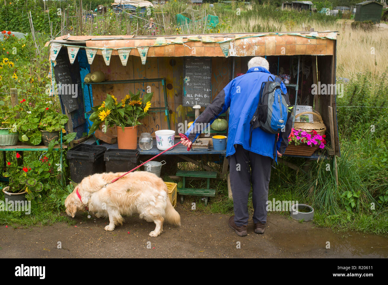 Ein älterer Mann und seinem Hund durch ein produzieren mit Gemüse und Blumen Stall für Verkauf durch die Zuteilungen in Dorchester-on-Thames, Oxfordshire Stockfoto