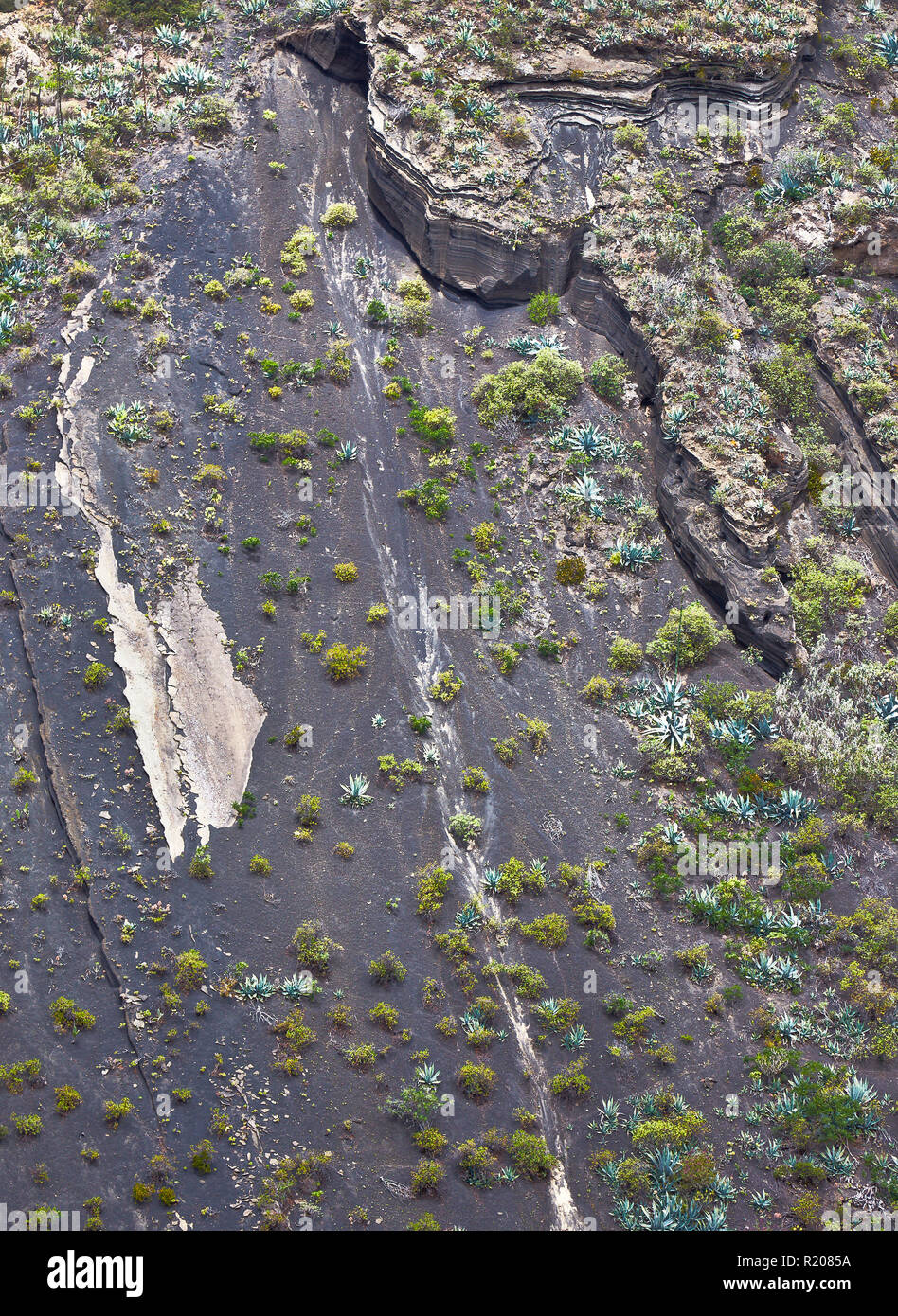 Die innere Wand des Vulkans Kraterrand der Caldera de Bandama. Felsen und Pflanzen typisch für die ariden Natur von Gran Canaria (Spanien). Stockfoto