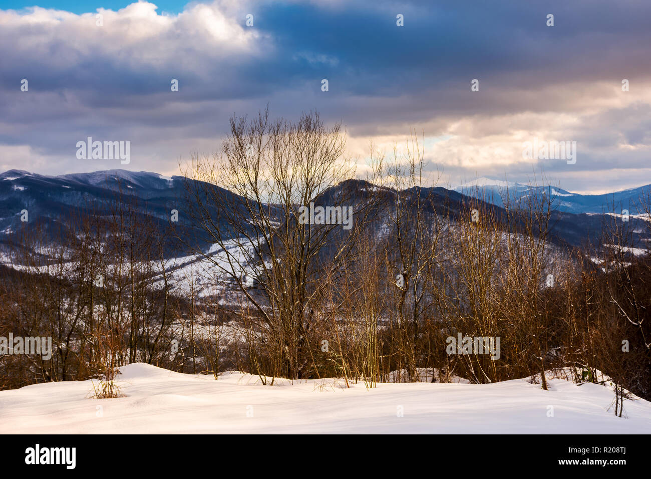 Bäume auf einem schneebedeckten Hang über dem Tal. schönen abend bewölkten Himmel über den Grat. Stockfoto