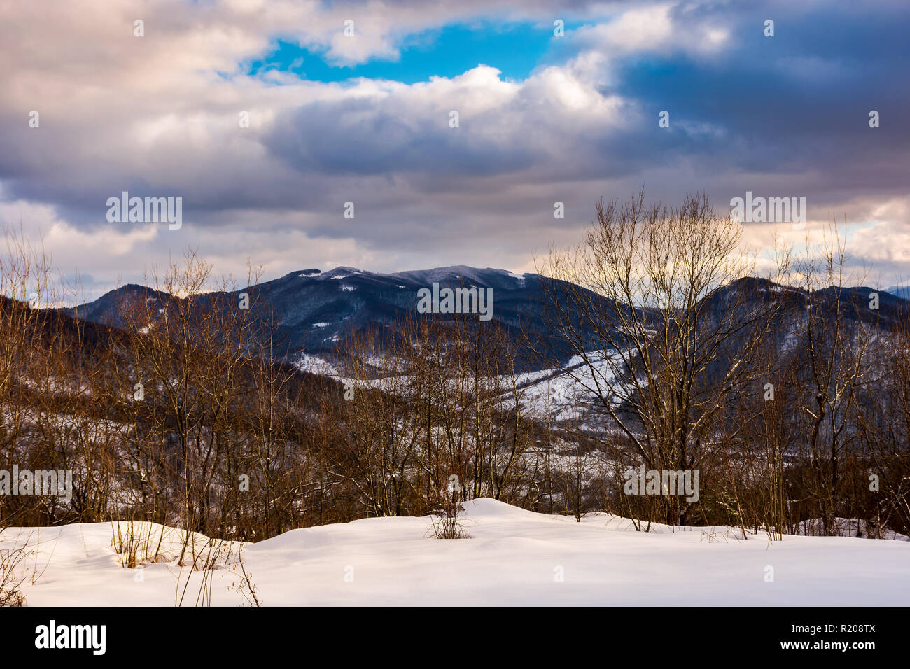 Bäume auf einem schneebedeckten Hang über dem Tal. schönen abend bewölkten Himmel über den Grat. Stockfoto