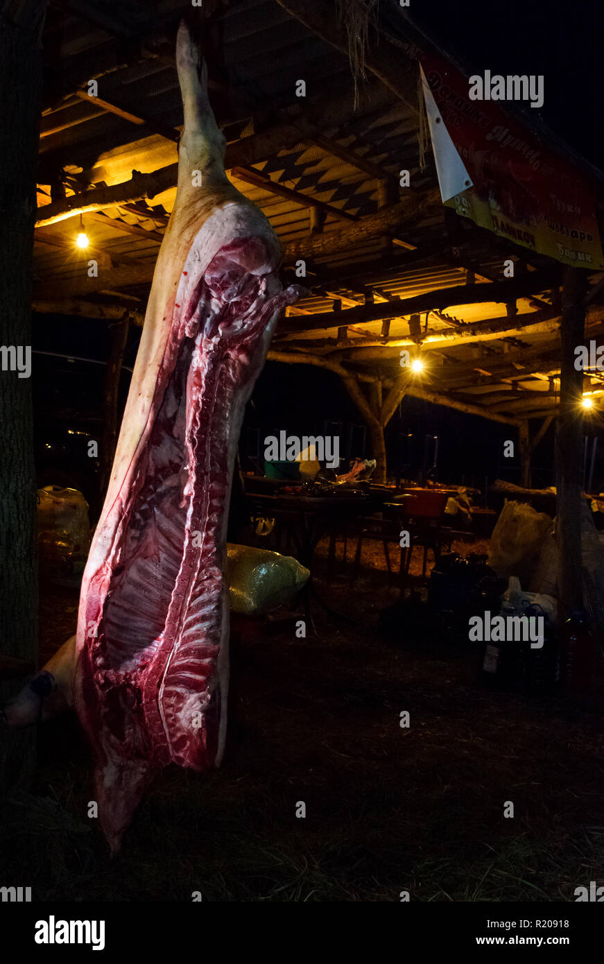 Hecha, Ukraine - Jan 27, 2018: Schweinefleisch Metzger Wettbewerb. Aas hängen in der Dunklen. Vorbereitung für das Festival in der Nacht Stockfoto