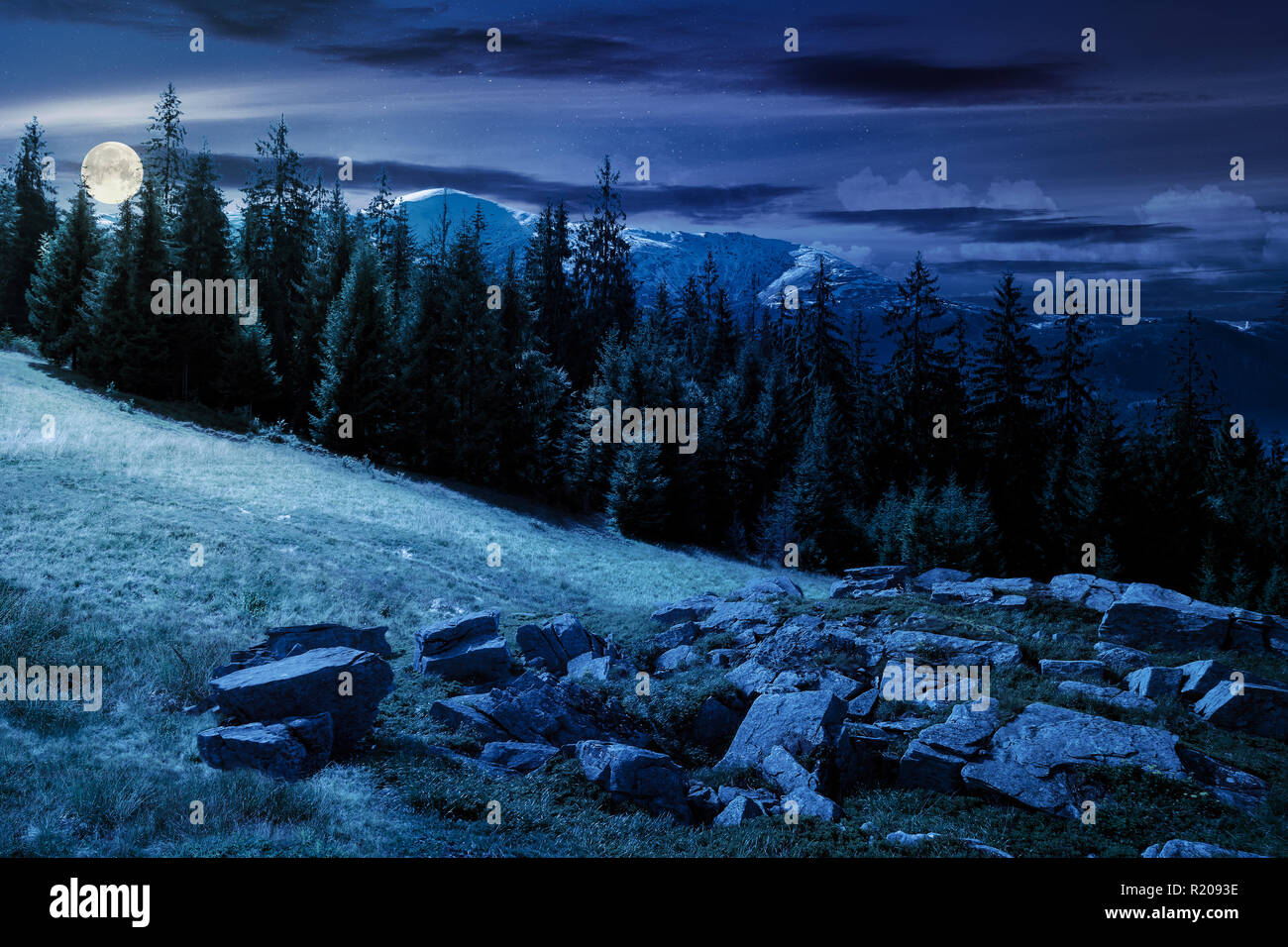 Alpine Sommer Landschaft Composite in der Nacht im Vollmond Licht. Felsformation in der Nähe des Waldes auf einem grasbewachsenen Hügel Fichte. Berg mit Schnee oben in der Stockfoto