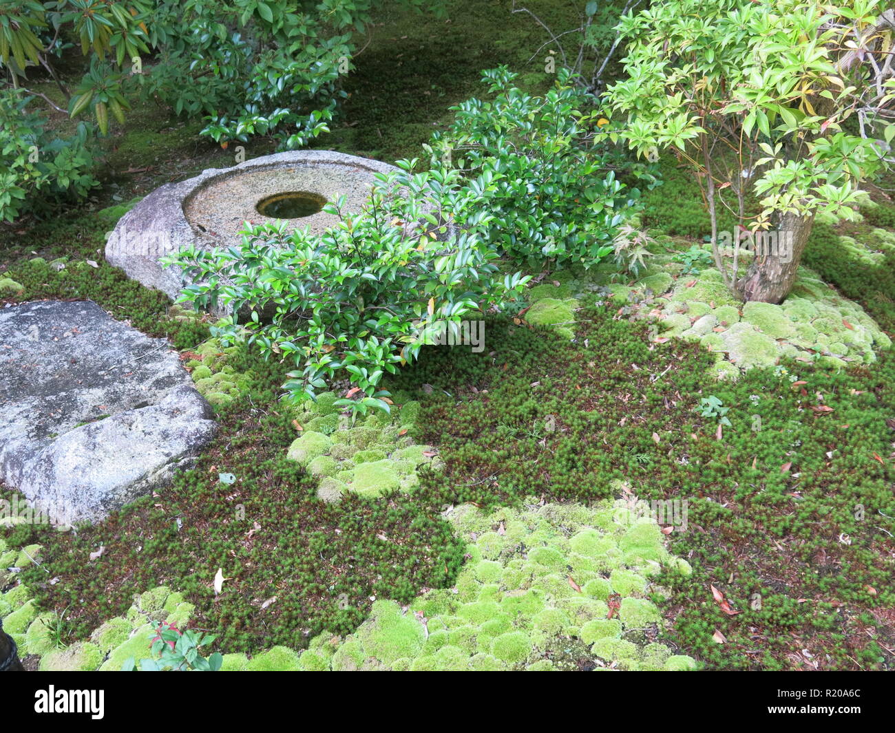 Die Gärten und die Pagoden von Jojakkoji buddhistischen Tempel bieten eine ruhige Erholung von den Touristenmassen im Stadtteil Arashiyama, Kyoto. Stockfoto