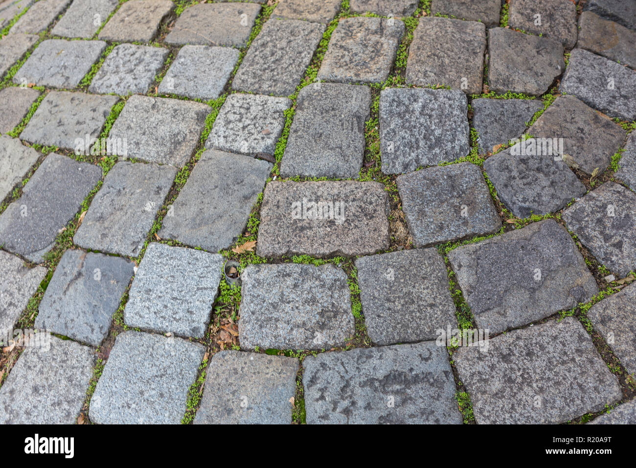 Stein Pflasterung Hintergrund Zaun Stockfoto