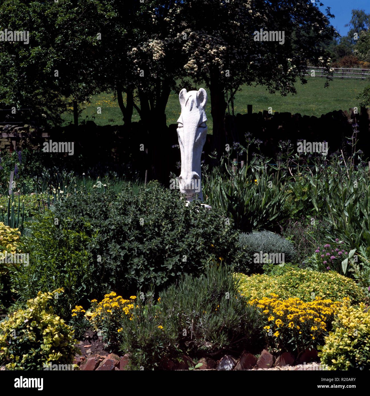 Statue der Pferdekopf im Gemüsegarten Stockfoto