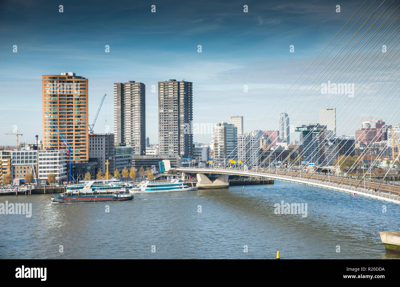 Rotterdam, Holland, 14-Nov-2018, Skyline form Rotterdam mit der Maas und der Erasmus Brücke mit der Häuser und Architektur im Hintergrund, die Maas ist der wichtige River Crossing Rotterdam für Export und Tourismus Stockfoto