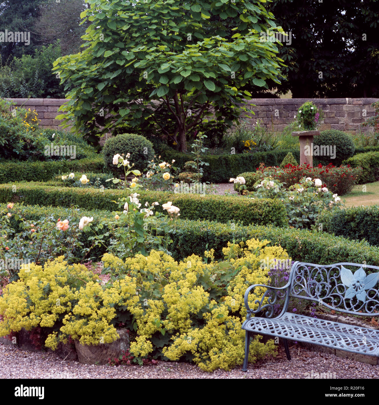 Schmiedeeisen Sitzbank und alchemilla Mollis in großen ummauerten Garten Stockfoto