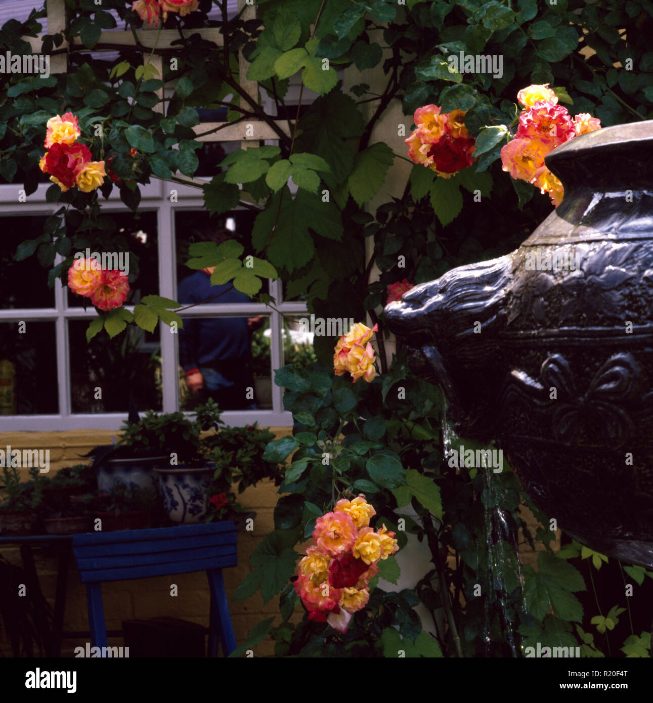 In der Nähe von Orange Rosen auf großen Garten ornament Stockfoto