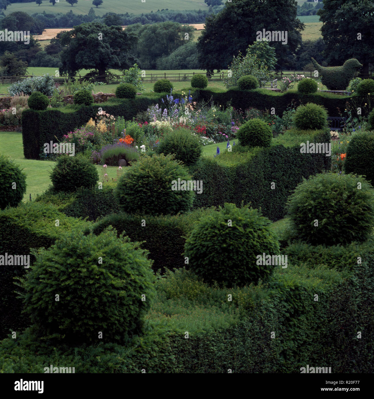 Hohe abgeschnittene Hecken und Formgehölze in großen Country Garden Stockfoto