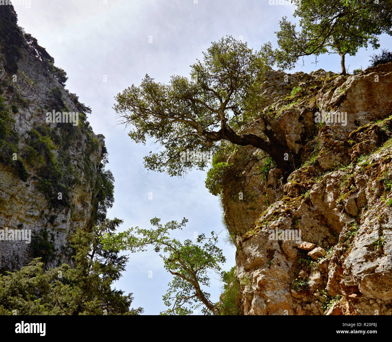 Imbros Schlucht auf der griechischen Insel Kreta (Griechenland) Stockfoto