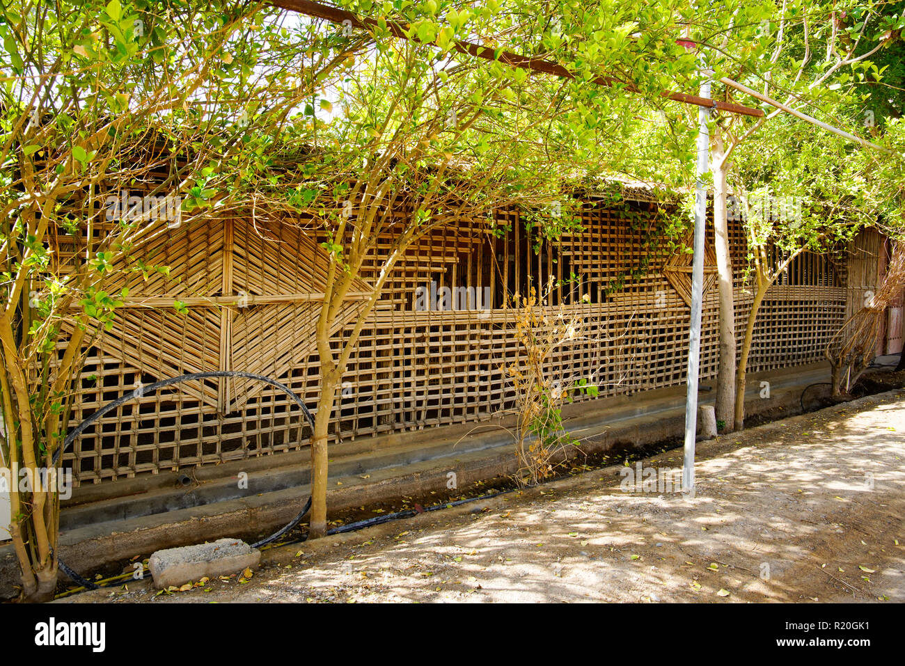 Traditionellen omanischen Dorf in Wadi Bani in der Nähe von Bahla. Oman. Stockfoto