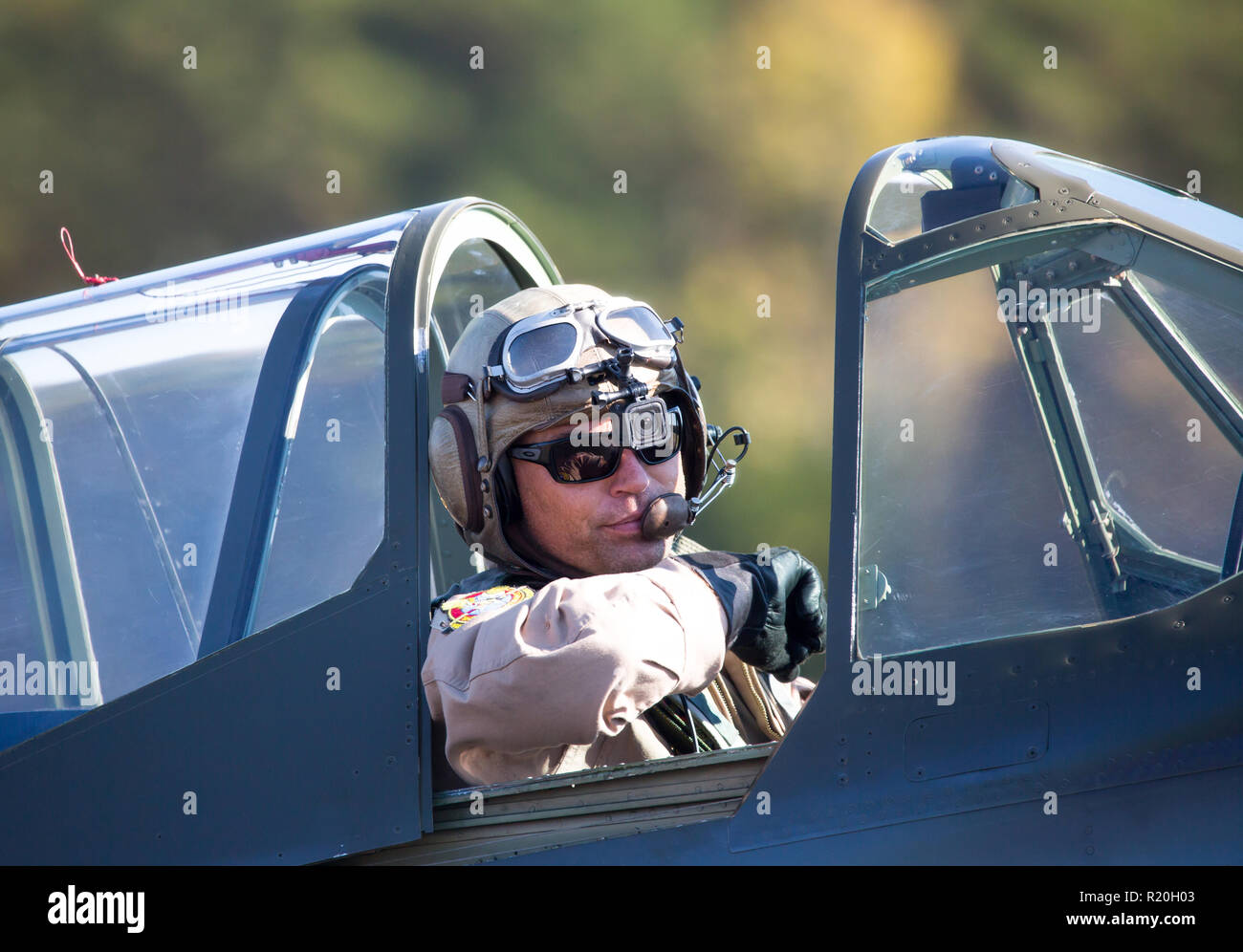 MONROE, NC (USA) - 10. November 2018: EIN Pilot sitzt im Cockpit einer P-40 Warhawk Flugzeuge während der warbirds über Monroe Air Show. Stockfoto