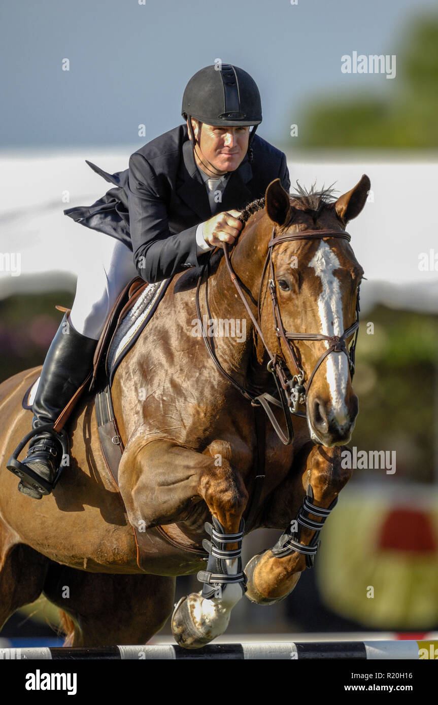 National Horse Show, Rolex nationale Meisterschaft Dezember 2006 McLain Ward (USA), Saphir Stockfoto