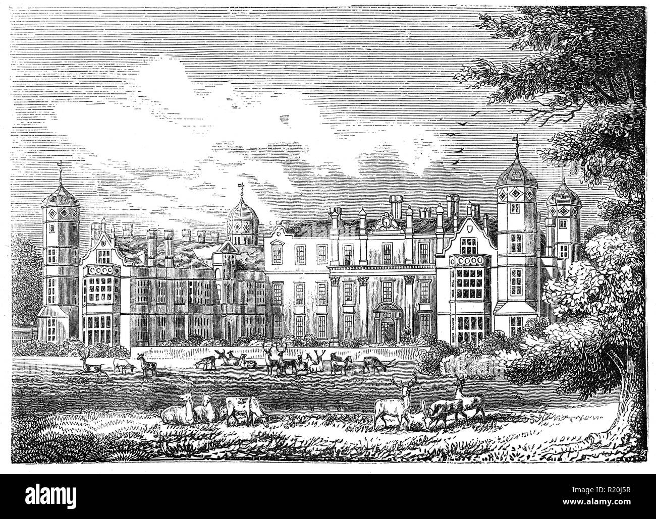 Cobham Hall ist jetzt eine unabhängige Tag und Internat für Mädchen in Cobham, Kent. Die Schule ist in einem Tudor ära Herrenhaus untergebracht und befindet sich auf einem 150 Hektar großen historischen Parklandschaft am Rande der Kent Downs. Es ist ein Herrenhaus, das auf der Website seit dem 12. Jahrhundert. Das Gebäude besteht aus einem Paar Tudor Flügel für den 10 Baron Cobham im 16. Jahrhundert gebaut und einem späteren klassischen zentralen Block, das "Cross Wing", der 1661 umgebaut - 63 von Peter Mühlen von London für das 3. Herzog von Richmond. Stockfoto