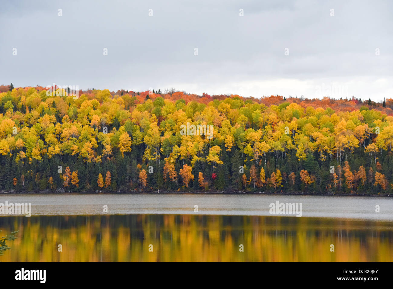 Herbst, neben Val-d'Or, Quebec in der Region Abitibi-Témiscamingue Stockfoto Herbst, neben Val-d'Or, Quebec in der Region Abitibi-Témiscamingue Stockfoto