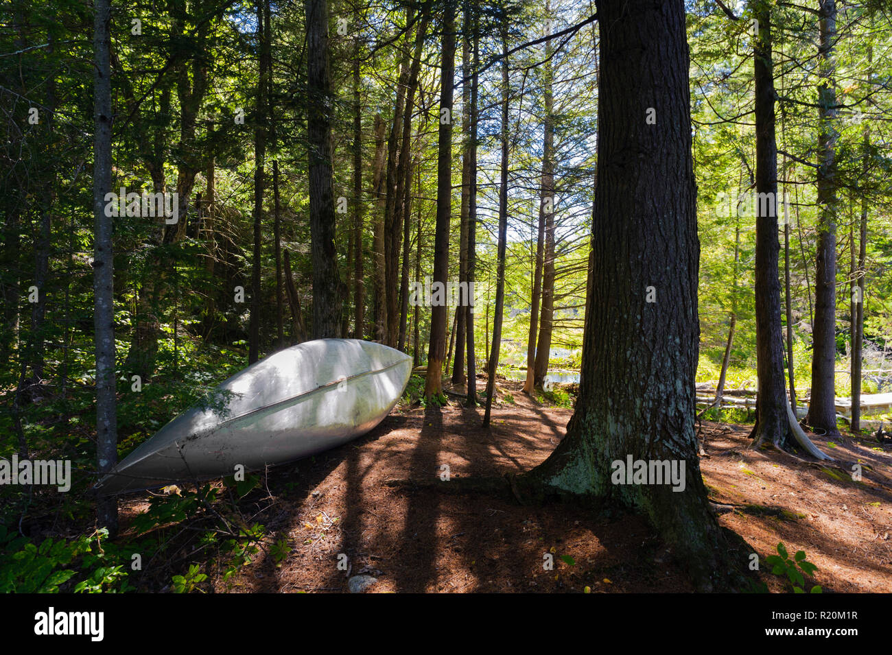 Kanu gespeichert, im Wald, in der Nähe von einem See in den Adirondacks Region, Staat New York, USA. Stockfoto
