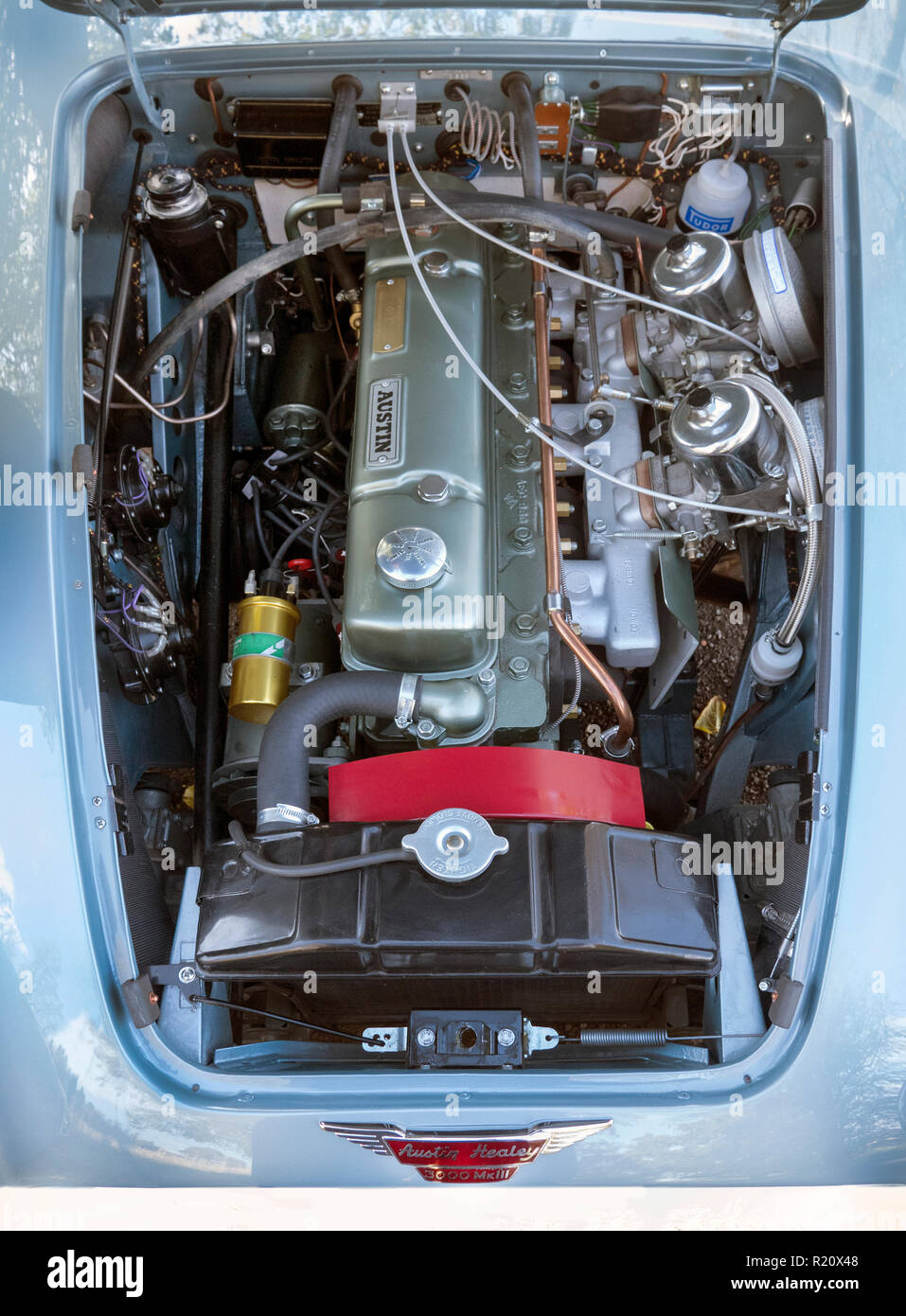 1964 Austin Healey BJ8-Motor Stockfoto