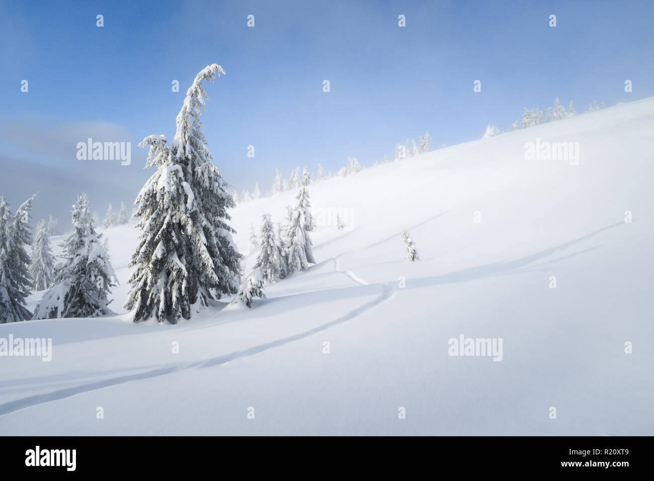 Winter Hintergrund mit kopieren. Schnee im Bergwald. Fichten und Fußweg im Schnee Stockfoto