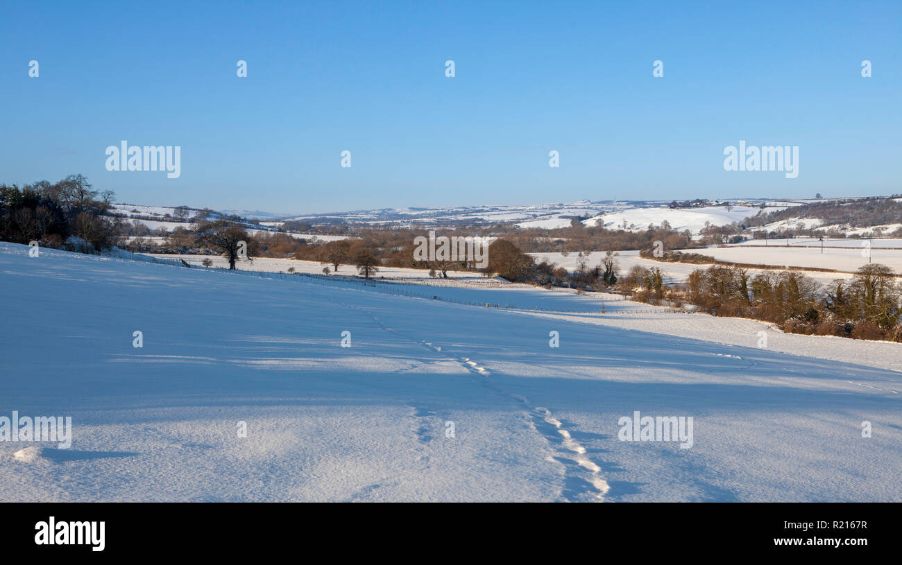 Schneebedeckter Winterblick auf Lower Wharfedale in der Nähe von East Keswick mit den Feldern, die mit einer Schicht Neuschnee bedeckt sind Stockfoto