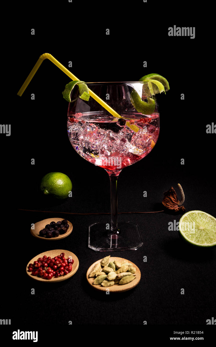 Lecker und frisch Gin und Tonic Cocktail auf einem schwarzen Hintergrund neben ihrem Zutaten Stockfoto