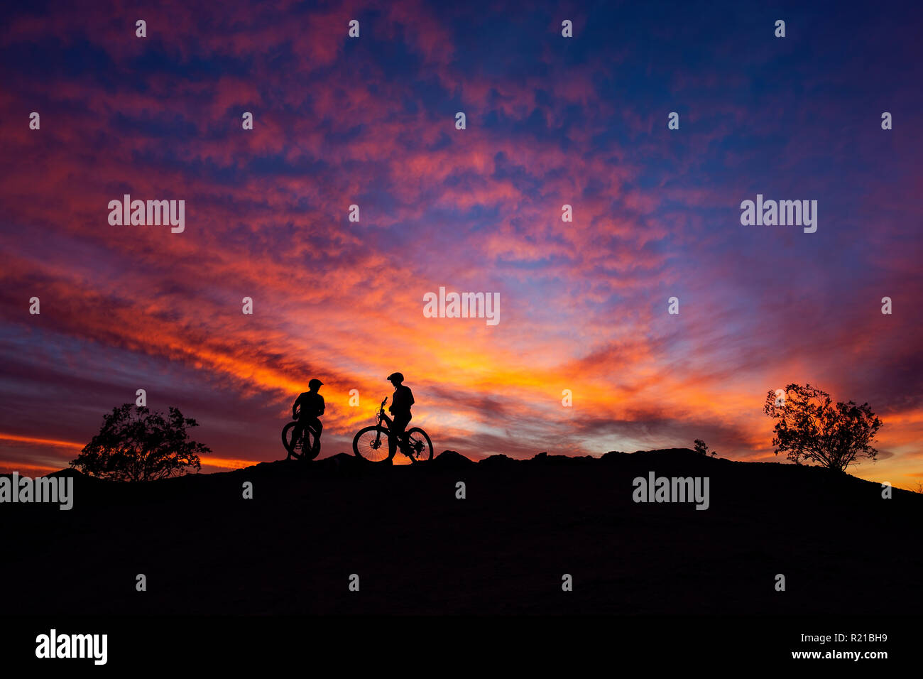 Mountainbiker genießen einen farbenfrohen Sonnenuntergang in der Wüste im South Mountain Park, Phoenix, Arizona, USA Stockfoto