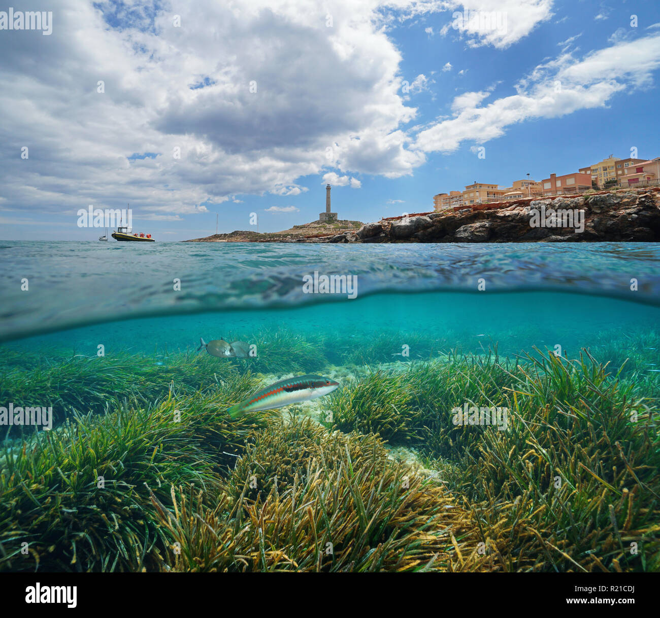 Küste bei Cabo de Palos in Spanien und Fisch mit Seegras Unterwasser, geteilte Ansicht Hälfte oberhalb und unterhalb der Oberfläche, Mittelmeer, Cartagena, Spanien Stockfoto