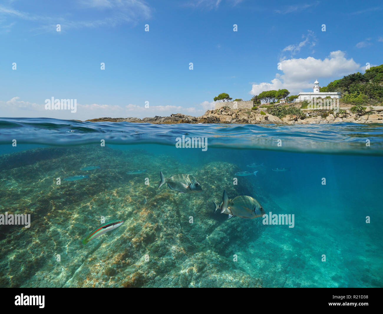 An der felsigen Küste mit einem Leuchtturm und Fisch unter Wasser, geteilte Ansicht Hälfte oberhalb und unterhalb der Wasseroberfläche, Spanien, Costa Brava, Roses, Mittelmeer Stockfoto