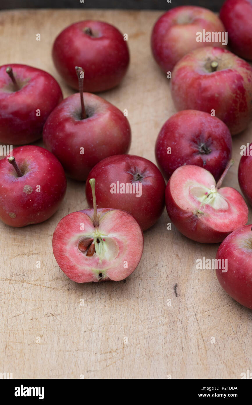 Malus Domestica. Apple' Redlove Era'. "Redlove Era "Äpfel auf einem woodenboard, von denen einige in die Hälfte geschnitten sind das rote Fleisch zu zeigen geerntet Stockfoto