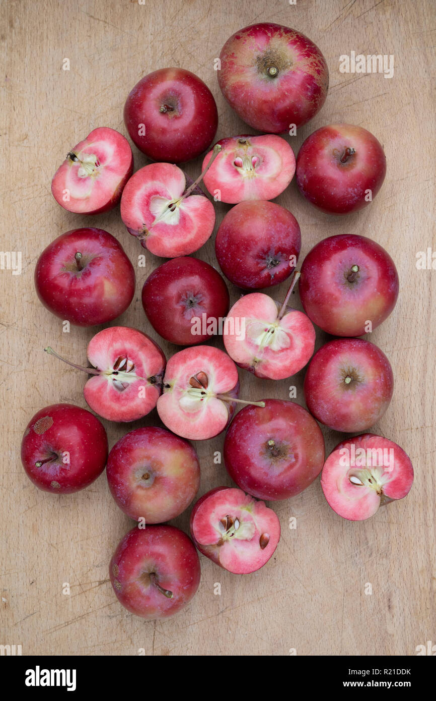 Botanik velstand hund Malus Domestica. Apple' Redlove Era'. "Redlove Era "Äpfel auf einem  woodenboard, von denen einige in die Hälfte geschnitten sind das rote  Fleisch zu zeigen geerntet Stockfotografie - Alamy