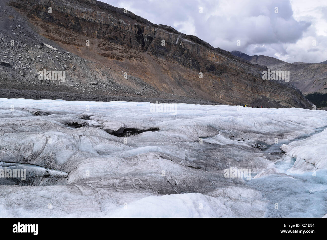 Columbia Ice Felder in den Bergen von Alberta Stockfoto