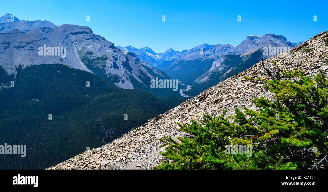 Bergpanorama in Alberta, Kanada Stockfoto