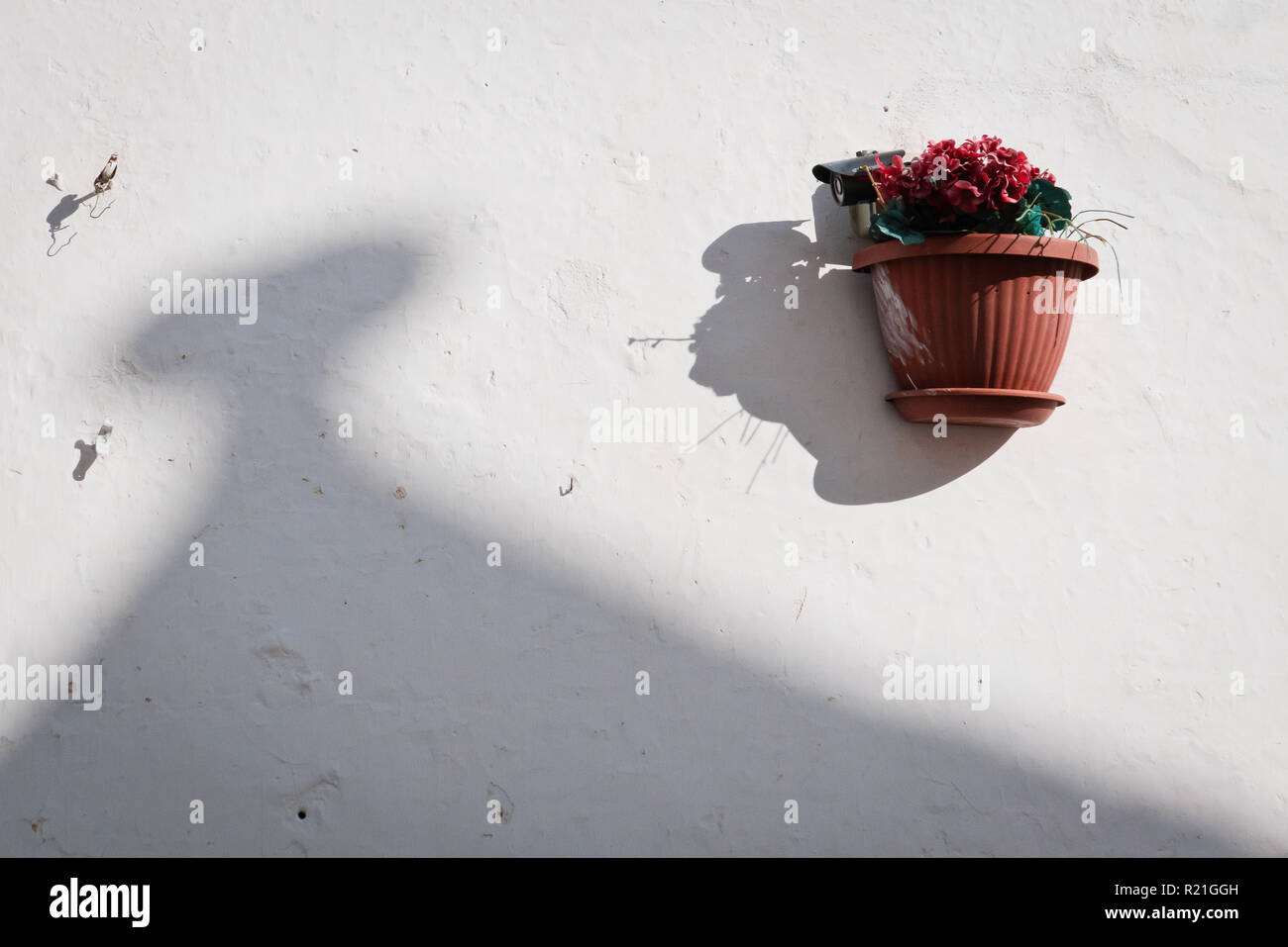 Weiße Wand mit Blumen Dekoration. Stockfoto