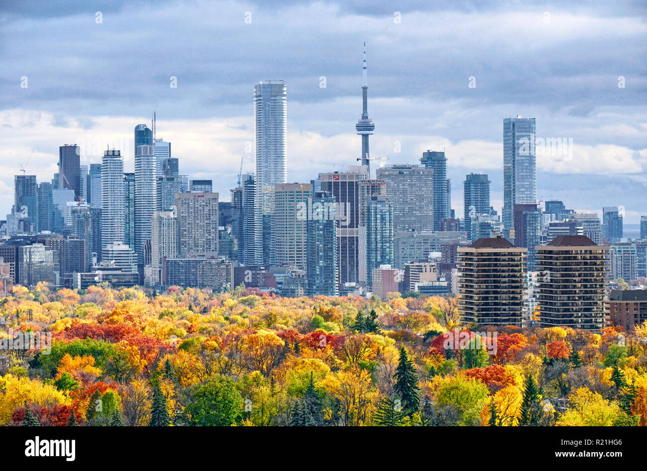 Toronto Herbst skyline einschließlich der wichtigsten Downtown und Midtown Wahrzeichen mit Baum fallen Farben in notunterstände Stockfoto
