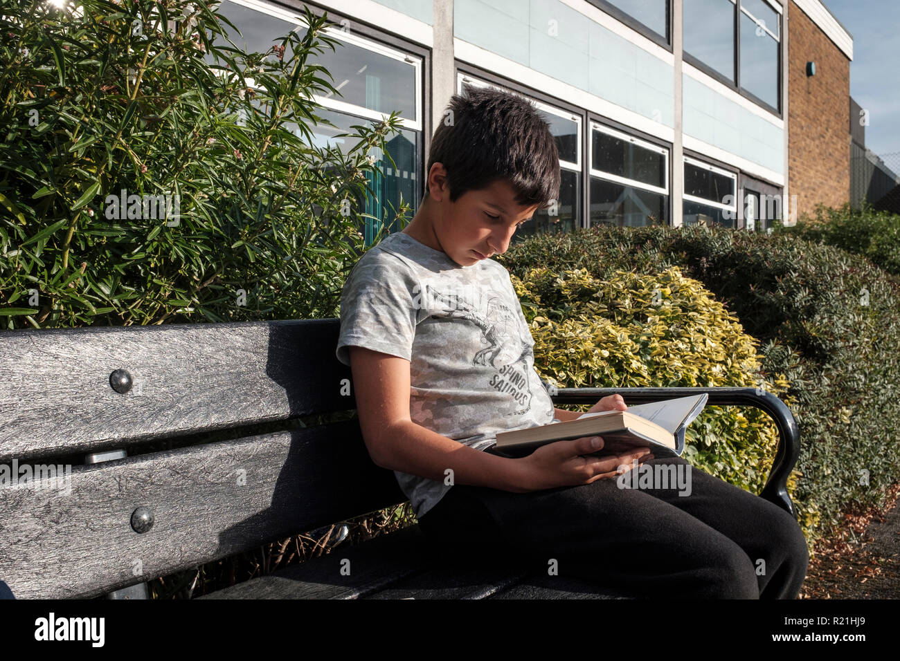 Surrey, UK-boy ,11 Jahre alt, sitzt im Freien Lesen einer Bibliothek Buch. Stockfoto